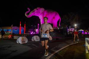 BIB: 
                            <button type="button" onclick="openModal(26552136)" class="btn btn-primary btn-sm float-right btn-popup" data-toggle="modal" data-target=".modal-high-quality">
                        <i class="fas fa-shopping-cart"></i> Add to Cart
                    </button>
                                            <button type="button" onclick="isThisMe(26552136, true)" class="btn btn-success btn-sm float-right btn-popup btn-isme hidden" data-toggle="tooltip" data-placement="bottom" title="นี่คือรูปของคุณใช่ไหม คลิกที่นี่เพื่อเอาเข้าอัลบั้ม">
                        <i class="fas fa-plus"></i> Add to album
                    </button>
                    <button type="button" onclick="isThisMe(26552136, false)" class="btn btn-warning btn-sm float-right btn-popup btn-isnotme hidden">
                        <i class="fas fa-ban"></i> Remove from album
                    </button>